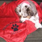 091037149619 Kona Benellie Pet Blanket By Red