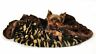 099994819873 Undisclosed Camo Big Baby Blanket