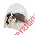 1053 Kh Manufacturing Heated Dog Bed Igloo Soft Pad Pet House