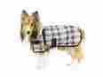 80-8084-eb 1200d Cutenfuzzy Green Fawn Plaid Dog Blanket Fleece Lining 1002350384808