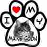 162233 Imagine This Company I Love My Maine Coon Image Paw Car Magnet 5-1 2-inch By 729173905058