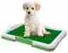 80-st403 165083 Paw Puppy Potty Trainer Id 886511021457