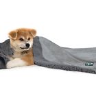 17259 Pet Blanket Dog Cat 603305917259
