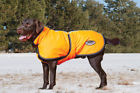 25575 Weatherbeeta Reflective Dog Parka With Belly Band