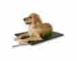 28914 1020 K H Manufacturing Lectro-kennel Large Indoor-outdoor Pet Heating Pad Id 655199010202