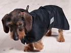 32100002 Back On Track Dachshund