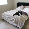 445033041027 Kyletech Waterproof Pet Blanket Pee Urine Proof Dog