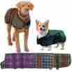 467089blcpl28 Centaur Dog Blanket 28 Blue Corn Plaid 841095597934