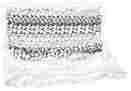 500-062 Mirage Fl Light Snow Leopard Full Size Pet Blanket 099994058715