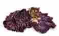 500-065 Mirage Jb Purple Cheetah Jumbo Size Pet Blanket 099994058814