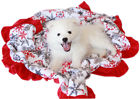 500-154 Rsfhl Mirage Pet Product
