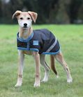 5051771290829 Shires Equestrian Waterproof Dog