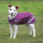 5051771291086 Shires Equestrian Waterproof Dog