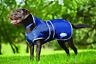 570441 Weatherbeeta Dog Windbreaker Fleece Lined With Belly Wrap 9329028864649
