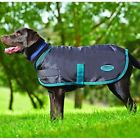570486 Windbreaker Cold Weather Coats 9329028865097