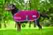 571216 Weatherbeeta Fleece Dog Coat 28 Burgundy Grey 2 Tone 9329028871340