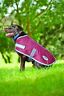 588145 Weatherbeeta Parka Dog Coat