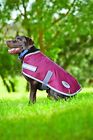 588146 Weatherbeeta Parka Dog Coat