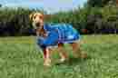 588174 Weatherbeeta Windbreaker 420d Deluxe Dog Coat 24 Blue Cream