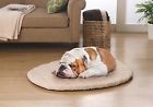 600518803638 Elaine Karen Dog Pet