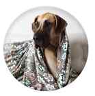 613635712547 Utex Pet Blanket 24x 32