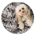 613635712554 Utex Pet Blanket 24x 32