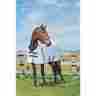 614452 Kool Coat Classic Standard Neck Fly Sheet 72