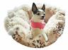 616043426716 Bessie And Barnie Ultra Plush Aspen Snow Blondie