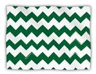 616913163161 Kess Inhouse Original Candy Cane Green Chevron Pet