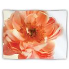 616913173542 Kess Inhouse Pellerina Design Blushing Peony Coral White