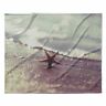 616913454313 Kess Inhouse Dog Blanket Star Fish Youre Fleece