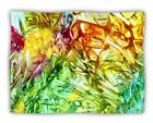616913459875 Kess Inhouse Rosie Brown Kaleidoscope Pet Blanket