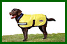 619338 Reflective Parka Dog Coat Yellow Womens Pet Supplies 9329028742442