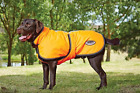 619473 Weatherbeeta Reflective Dog Parka Deluxe 9329028749182