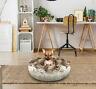 636836484570 Bessie Barnie And Ultra Plush Luxury Shag Deluxe