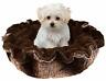636836489469 Bessie And Barnie Ultra Plush Frosted Godiva Brown