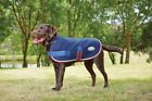 648648 Weatherbeeta Quilted Dog Coat 9329028778533