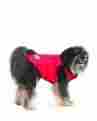 700223 65104 Acme Fashion Pet Lookin Good Reversible Puffy Vest For Dogs X-small Red 660204014953