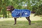 654959 Weatherbeeta Windbreaker 420d Dog 9329028850833