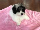 670221791850 Higher Comfort Super Soft Pet Pink Blanket For