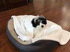 670221791867 Higher Comfort Super Soft Pet White Blanket For