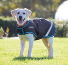 6992-nvy-brb-xs Shires Waterproof Dog Coat 5051771463438