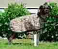 726-bflr-xxs Eous Patterned Fleece Dog Rug Brown Floral 844746025886