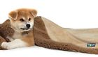 730440422390 Kritterworld Pet Dog Cat