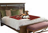730440428217 Pawsse Buffale Red Tuape Waterproof Dog Blanket Pee