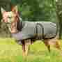 802064 Parka Weatherbeeta Tweed Dog Coat Olive Plaid Fleece Lined With Belly Band All Sizes