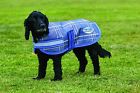 802092 Weatherbeeta Parka 1200d Dog 9329028016536