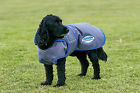 802144 Weatherbeeta Windbreaker 420d Deluxe 9329028017052