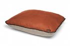 8043 Big Shrimpy Bogo Medium Dog