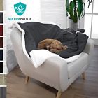 819594020864 Petami Categories Free Shipping